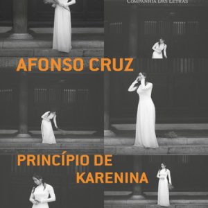 Princípio De Karenina